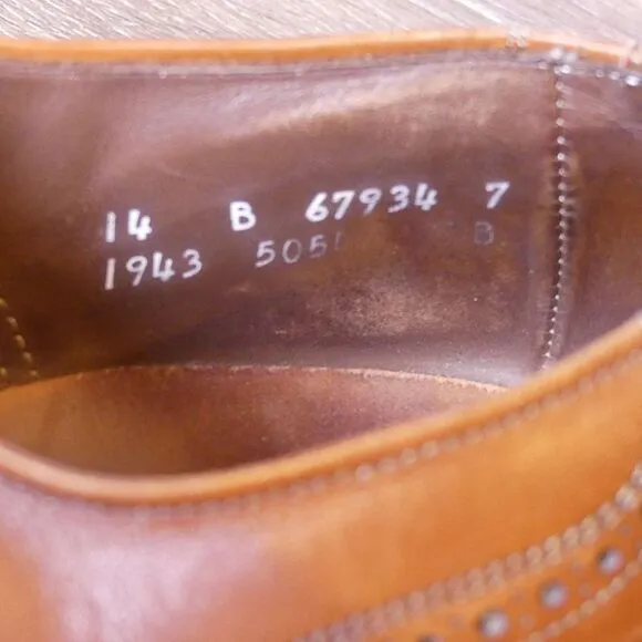 Allen Edmonds Chester Wingtip Oxford Shoes Walnut Brown‎ Leather Men's 14B