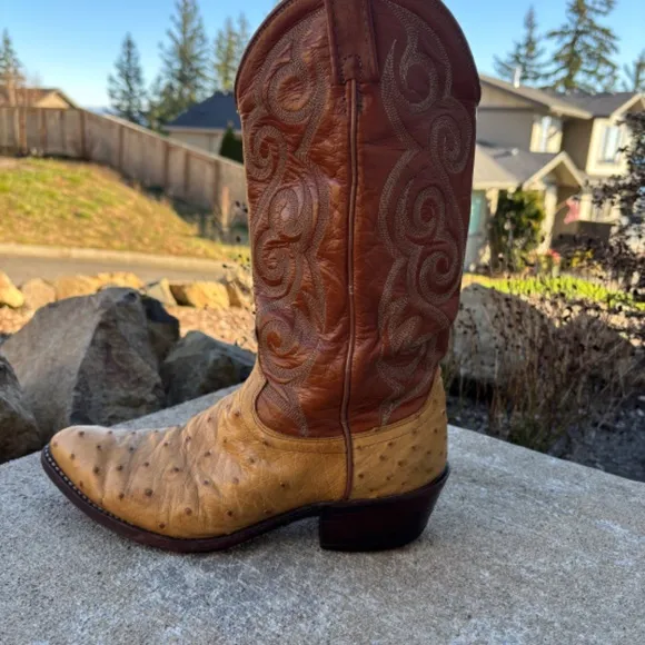 Dan Post Boots Full Quill Ostrich Leather Cowboy Western Boots Men’s Siz…