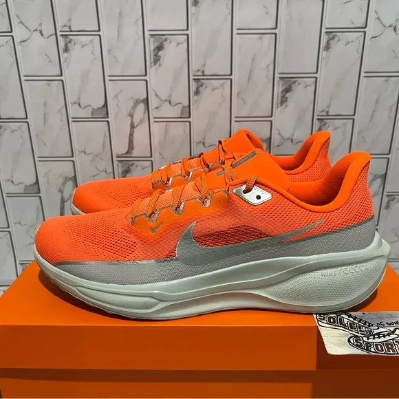 New Nike Air Zoom Pegasus 41 PRM Orange Grey Running Training Shoes Mens 13