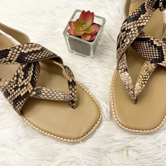 NEW VINCE Morris Snake print gladiator cross cross sandals shoes women size 6