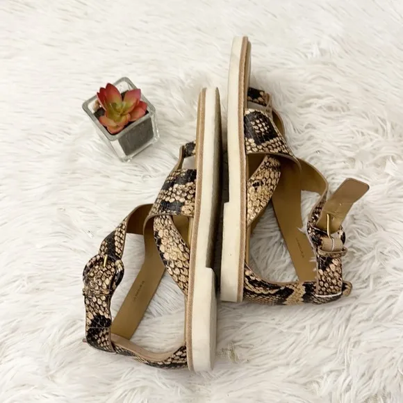 NEW VINCE Morris Snake print gladiator cross cross sandals shoes women size 6