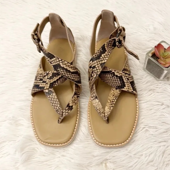NEW VINCE Morris Snake print gladiator cross cross sandals shoes women size 6