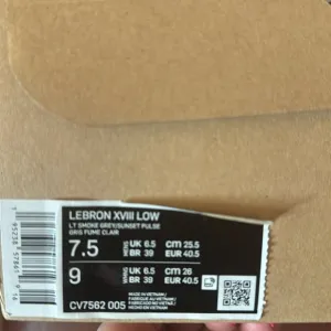 Nike LeBron XVIII Low MARVIN VS BUGS