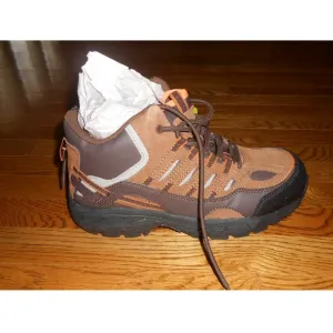 SR Max Steel Toed Shoes